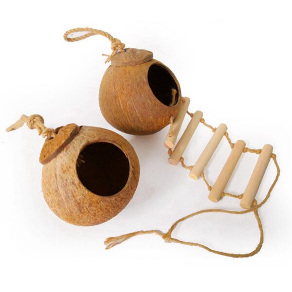 1071817226218.jpg Natural coconut shell bird nest