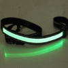 Fluorescent dog collar