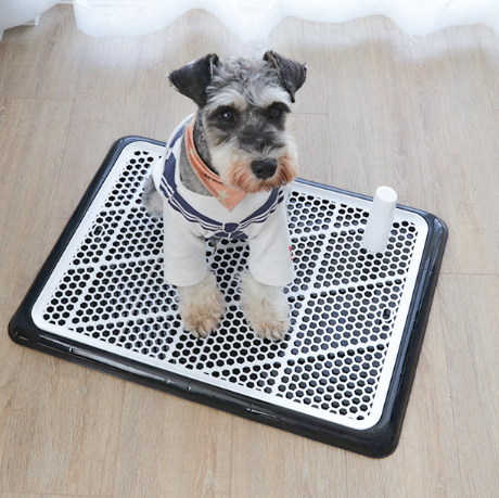 1373747959861.png Dog Toilet Large Small Dog Automatic Pet Supplies