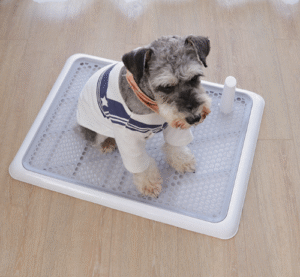 1493636159348.png Dog Toilet Large Small Dog Automatic Pet Supplies