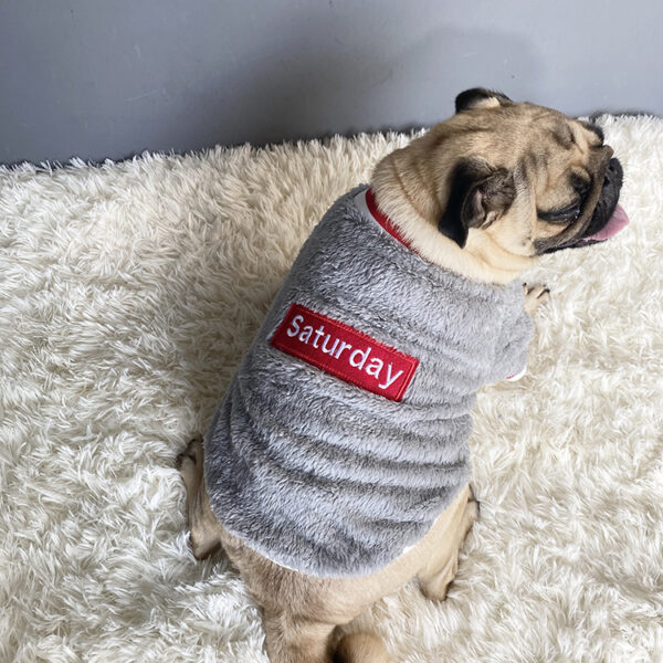 1611887471658.jpg Pet sweater