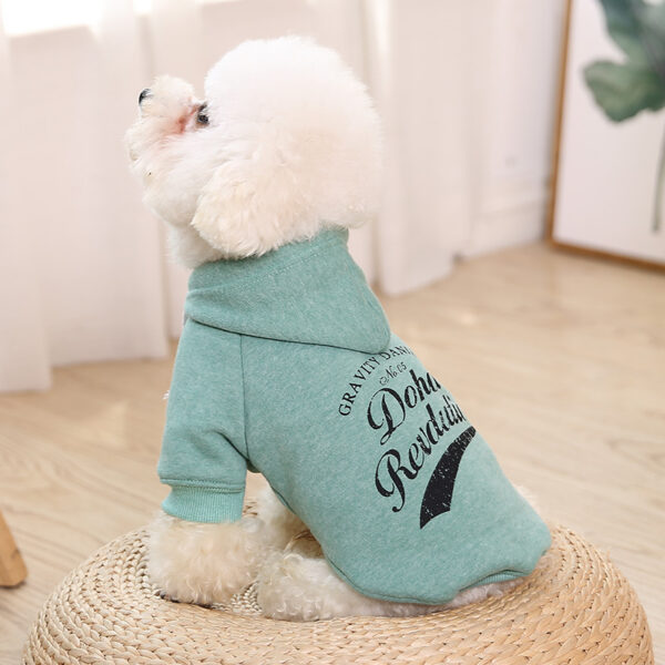 1769884942255.jpg clothes for pets