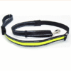 Fluorescent dog collar
