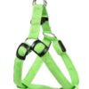 1931496967861.jpg Pet Products LED Luminous Dog Chest Strap Large Dog Luminous Dog Leash
