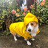 2885120888345.jpg Dog Raincoat Pet Clothes Dog Clothes Rain Water