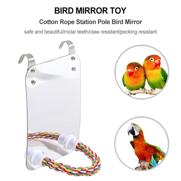 2c430ab3-a046-4393-a923-df5a633f9938.jpg Parrot Toy Acrylic Bird With Mirror