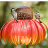 Garden Petal Shape Bird Feeder