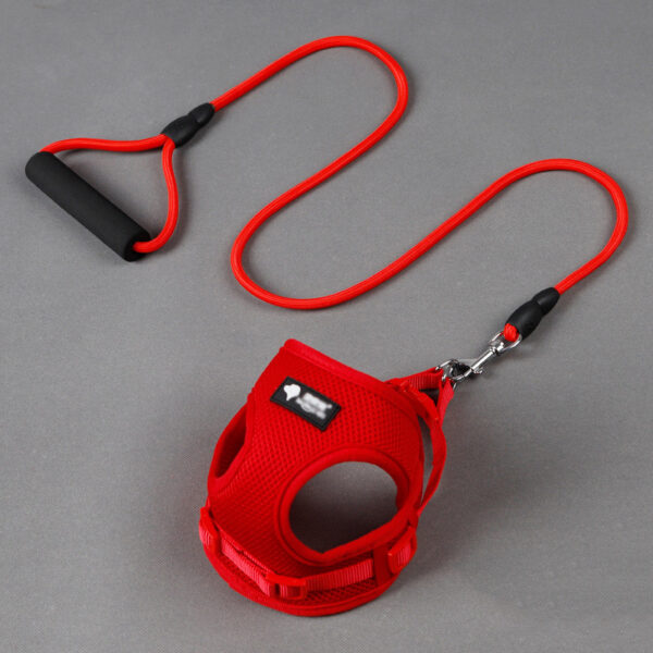 3966525169397.jpg Dog leash dog leash dog collar