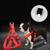 617149179584.jpg Pet Products LED Luminous Dog Chest Strap Large Dog Luminous Dog Leash