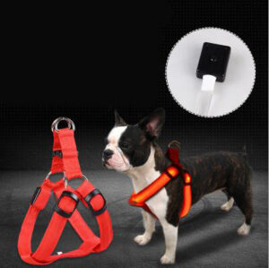 617149179584.jpg Pet Products LED Luminous Dog Chest Strap Large Dog Luminous Dog Leash