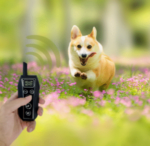 6179251d-dff7-45b1-b7ba-1070583ce633.png Fashion Pet Supplies Remote Control Dog Trainer