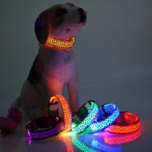 631975539590.jpg LED Dog Collar Safety Adjustable Nylon Leopard Pet Collar