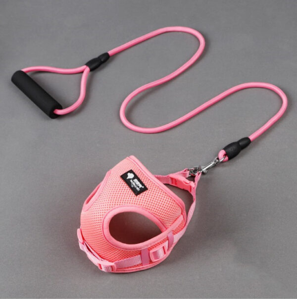 6696180180256.jpg Dog leash dog leash dog collar