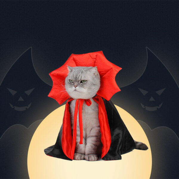 6a4b29d9-6a7d-41cc-ab96-34415c9140c9.jpg Halloween Pet Costumepet Halloween Cape Vampire King