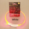 Pet Flashing Collar USB Rechargeable Glowing Necklace Safety Collar Light Up Collars For Night Walking Electric Dog Collar Neon