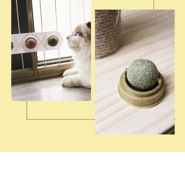 88336f25-9d9e-486b-9abc-199917a9f2a7.jpg Cat Self-hey Toy Molar Supplies