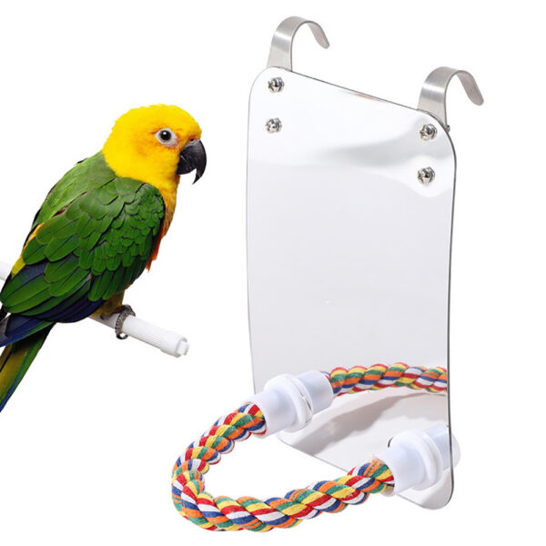 895fc470-2978-4dca-b2c3-812ff785322f.jpg Parrot Toy Acrylic Bird With Mirror