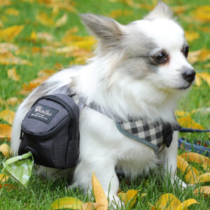 a1922a81-748e-4459-abcd-dffb13d89c1d.jpg Fashion Personality Pet Supplies Dog Bag