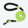 Pet Supplies Reflective Dog Leash