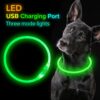 Pet Flashing Collar USB Rechargeable Glowing Necklace Safety Collar Light Up Collars For Night Walking Electric Dog Collar Neon