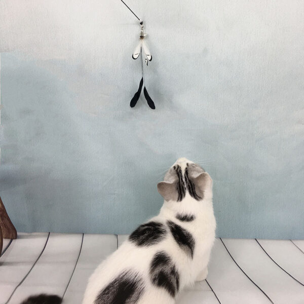 Cat Toy Wooden Handle Supplies