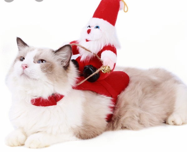 d8f45d99-8976-4a4d-afb4-191c238dd481.png Dog Christmas Clothes Santa Claus Riding Deer