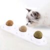 f5564811-b58b-4d37-b51a-75cbf7169f21.jpg Cat Self-hey Toy Molar Supplies