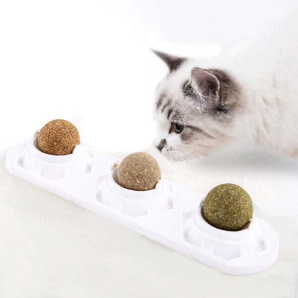 f5564811-b58b-4d37-b51a-75cbf7169f21.jpg Cat Self-hey Toy Molar Supplies