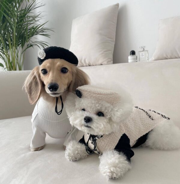 f69d9841-1b51-4ab2-a9c5-a60249a1b598.jpg Pet Dog Cat Accessories Knitted Hat