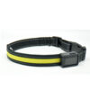 Fluorescent dog collar